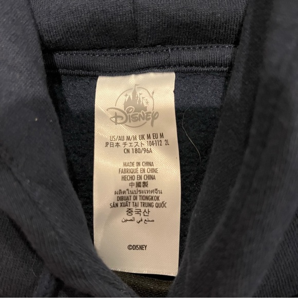 Disney Cruise Line 2025 Navy Sweatshirt - Picture 3 of 3